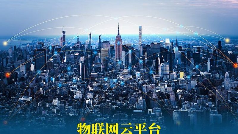 广州LoRa模型：揭秘其价格构成与选购要点
