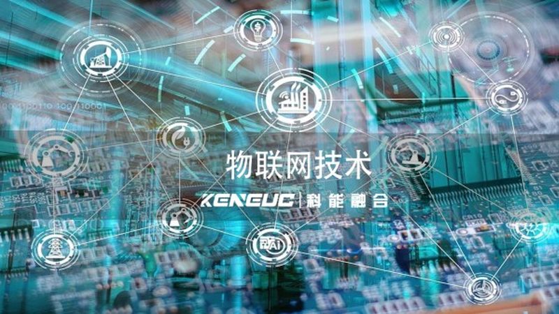 博达物联网有限公司
